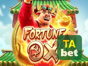 Material promocional do app TAJOGO — ilustração, não métricas auditadas nesta página